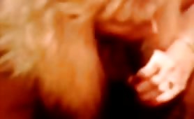 Interracial fucking (273) - thumb 6
