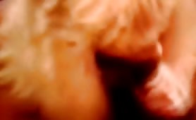 Interracial fucking (273) - thumb 8