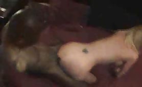 Blacked (290) - thumb 1