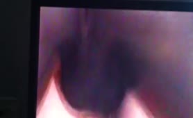 Young BBC BULL FUCKS WHITE PETITE MILF - thumb 6