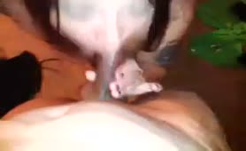 Mom Enjoys Her Black Friend During Hotel Date - thumb 0