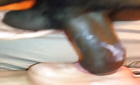 Best Amateur Interracial Sex Adventures! 331 - thumb 0